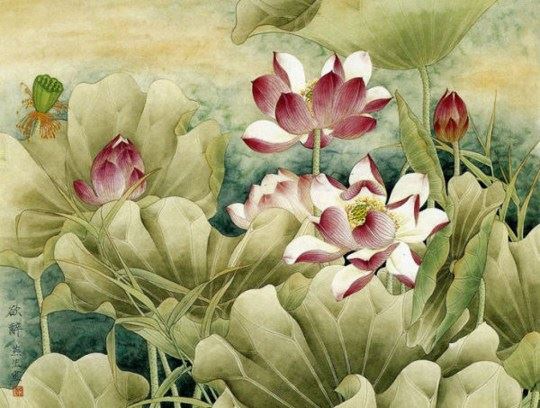 关于中国道教养生秘诀的一些经典做法