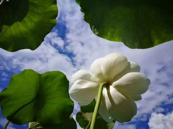 择吉日开光车需要注意什么 很多年轻人都不会去注意的几大点