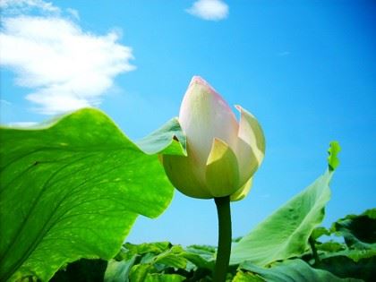 在写字楼里如何选择办公室 才能够让你的事业风生水起