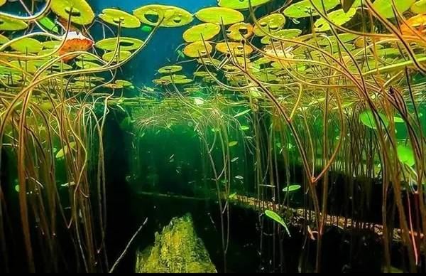 结新婚选吉日 什么样的日子才好 这几个年轻人的浪漫日不可错过