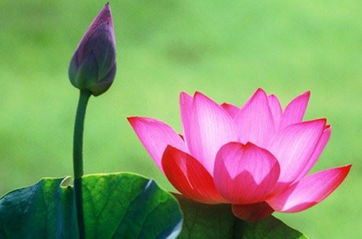 回心转意符有用吗,原来得满足这4大要素才有用